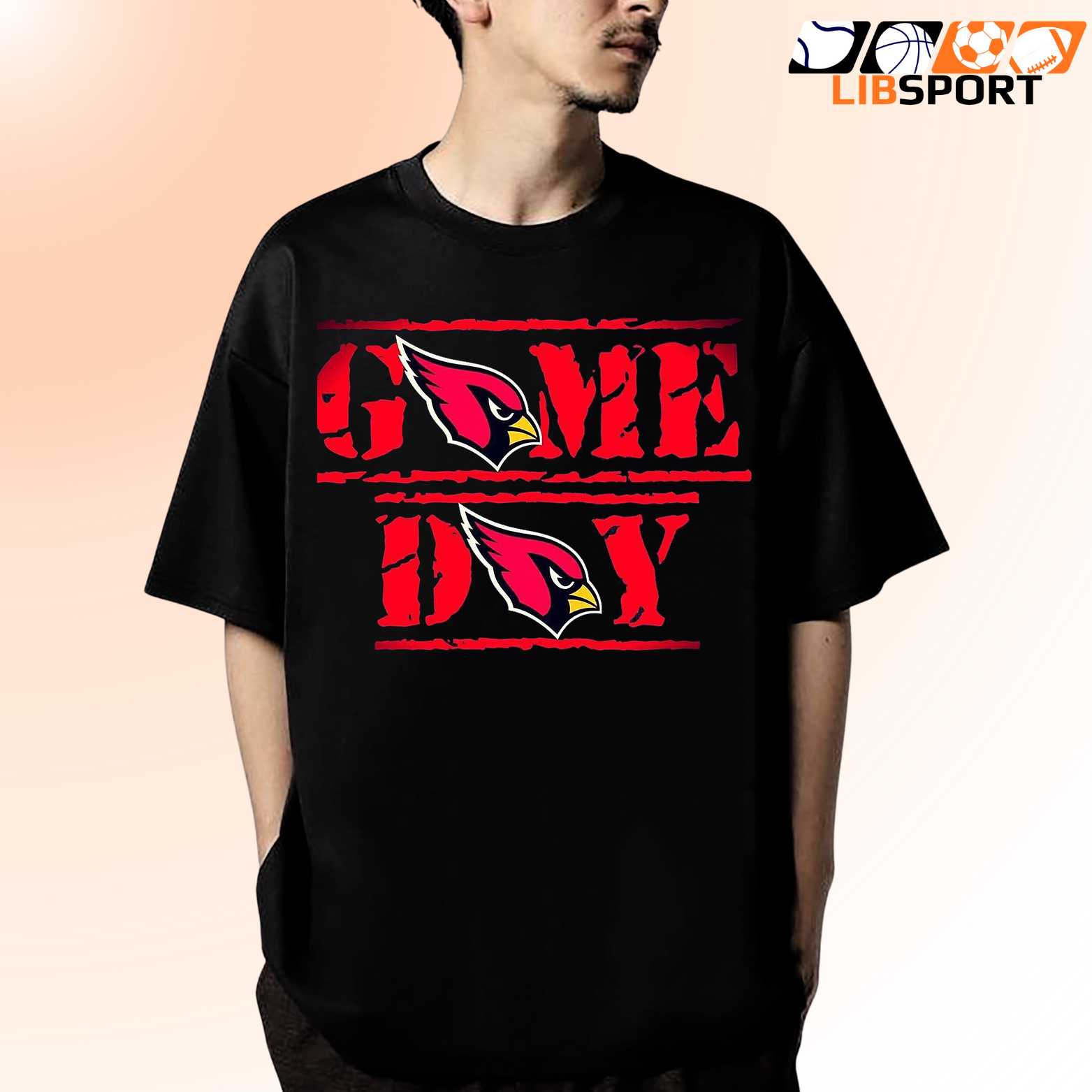 Arizona Cardinals Unisex T Shirt, Game Day Fan Tee